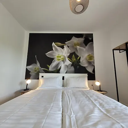 Aryve Boutique-ferienvilla Mit Meerblick, Pool Und Design-interieur In Lejlighed Bribir (Primorje-Gorski Kotar)